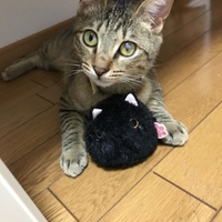 すい