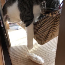 「今度はとなりに」サムネイル2