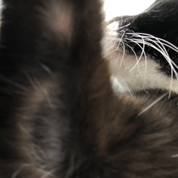 「今度はとなりに」サムネイル3