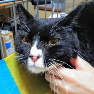 鼻の穴…！？☆三郎くん推定2歳