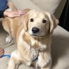 かいなおママ