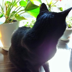 「季節の変わり目」サムネイル3