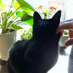 「季節の変わり目」サムネイル2