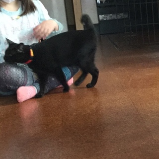 ありがとうございました