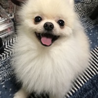 れん