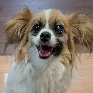 たくさんの応募を頂きました、ありがとうございます。