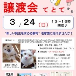 保護犬猫譲渡会『てとて』