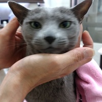 ラビエル