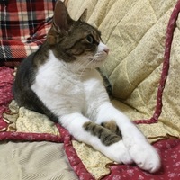 ヨーカ