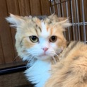 ありがとうございました