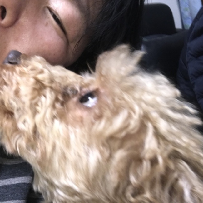 加藤ちゃんのカバー写真