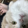 の写真