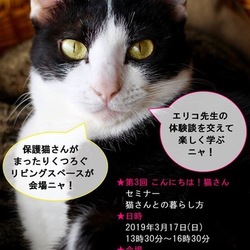 【猫さんとの暮らし方】セミナーのご案内です！