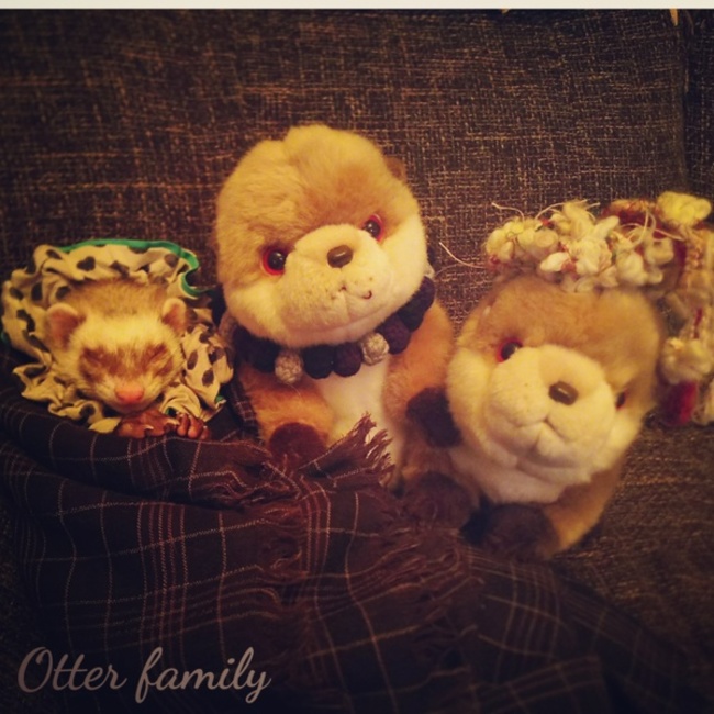 ととろ1-8のカバー写真