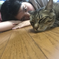 にゃーさん