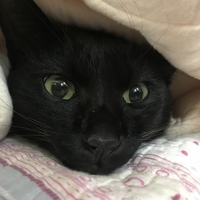 やまとくん