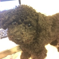 にーな