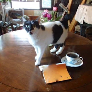 オシの強いお嬢さん、どでかいハート柄ハイジちゃん