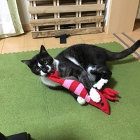 グンテ