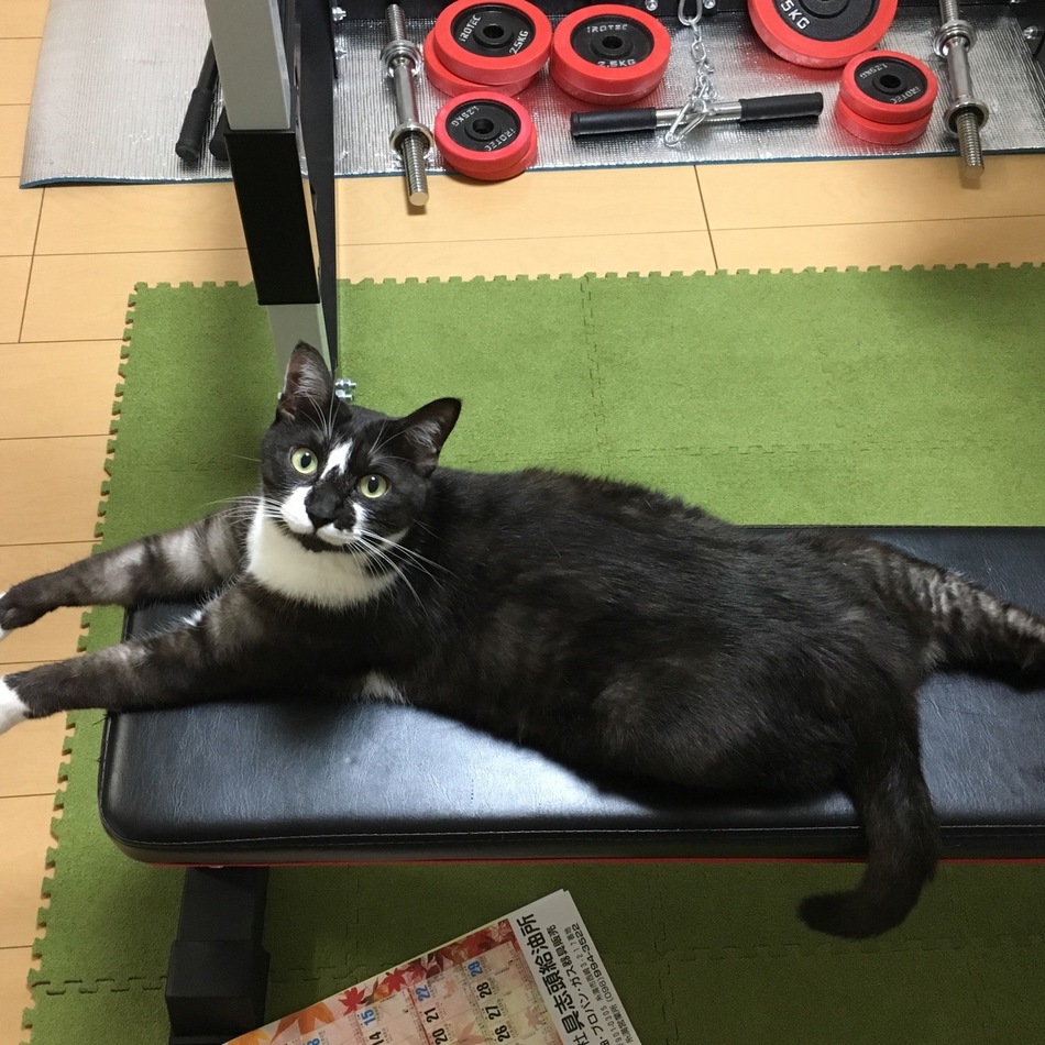 グンテのカバー写真