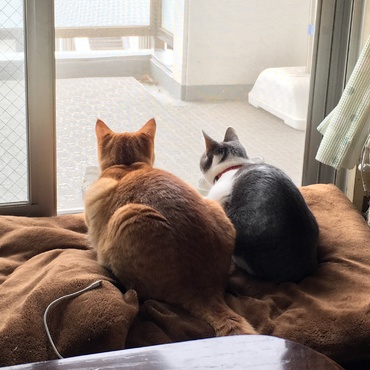 何が見えるのかな？(*^ω^*)