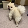 の写真