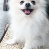 の写真