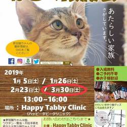 第5回 ハッピータビークリニック 猫の譲渡会