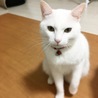 かずなそ