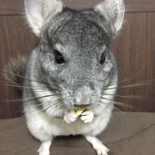 応募してくださった方 本当ありがとうございました。