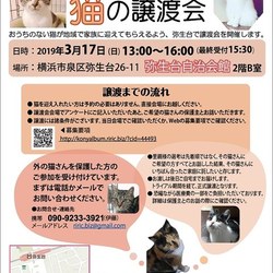横浜市泉区で第15回譲渡会