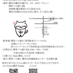 3月24日横浜市瀬谷区で猫の譲渡会