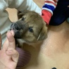 の写真