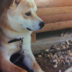 「8年目の……3.11……。」サムネイル3