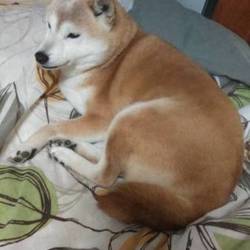 「8年目の……3.11……。」サムネイル1