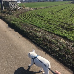「あたたかくなってきた」サムネイル1