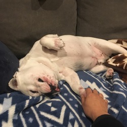 「あたたかくなってきた」サムネイル3