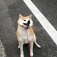 マリー