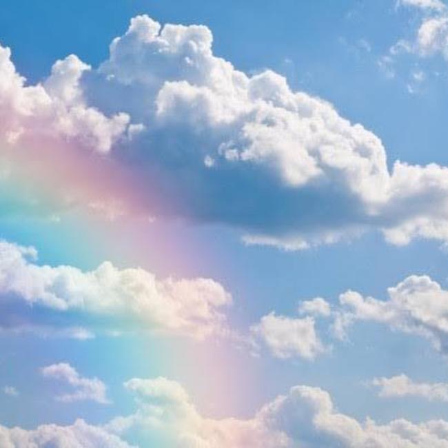 ペットのおうち＠ナナのカバー写真