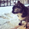 くーちゃんはじめての雪