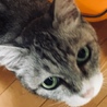 赤靴下
