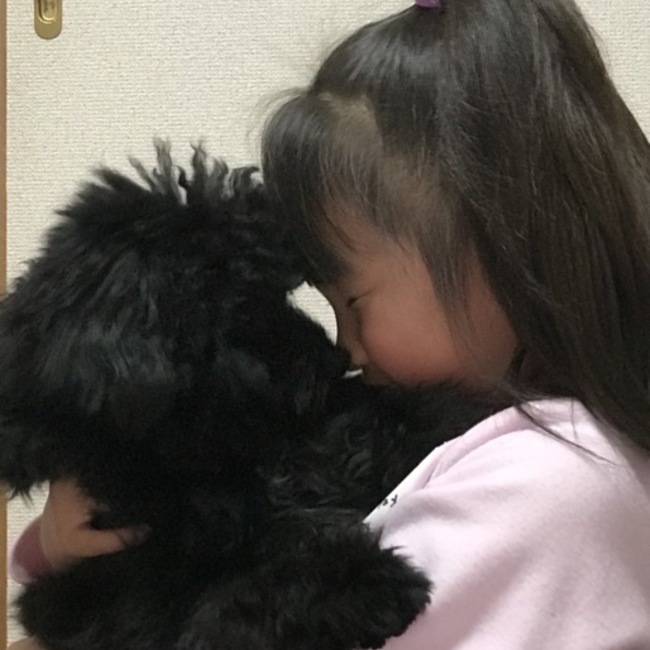 ☆こじろう☆のカバー写真