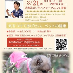 獣医師が考えるペットケア
