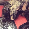 眩しいです