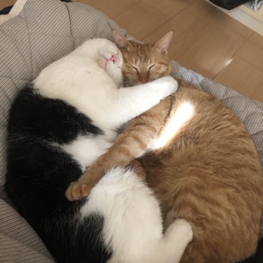 の写真