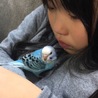 りりひな
