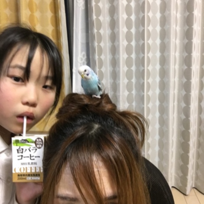りりひなのカバー写真