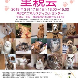 所沢アニマルメディカルセンター里親会