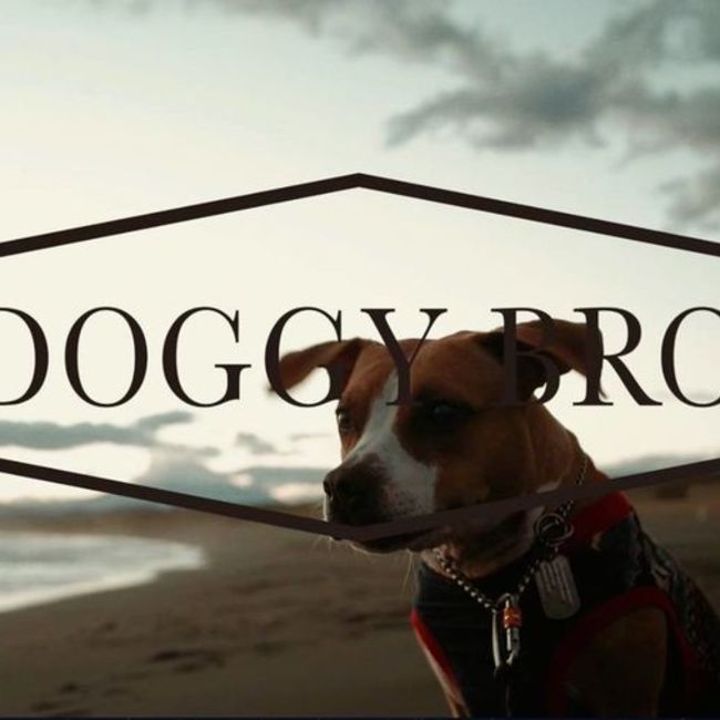 DOGGY BRO.のカバー写真