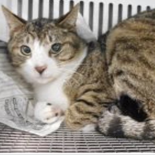 愛護団体様が引き出して下さいました。